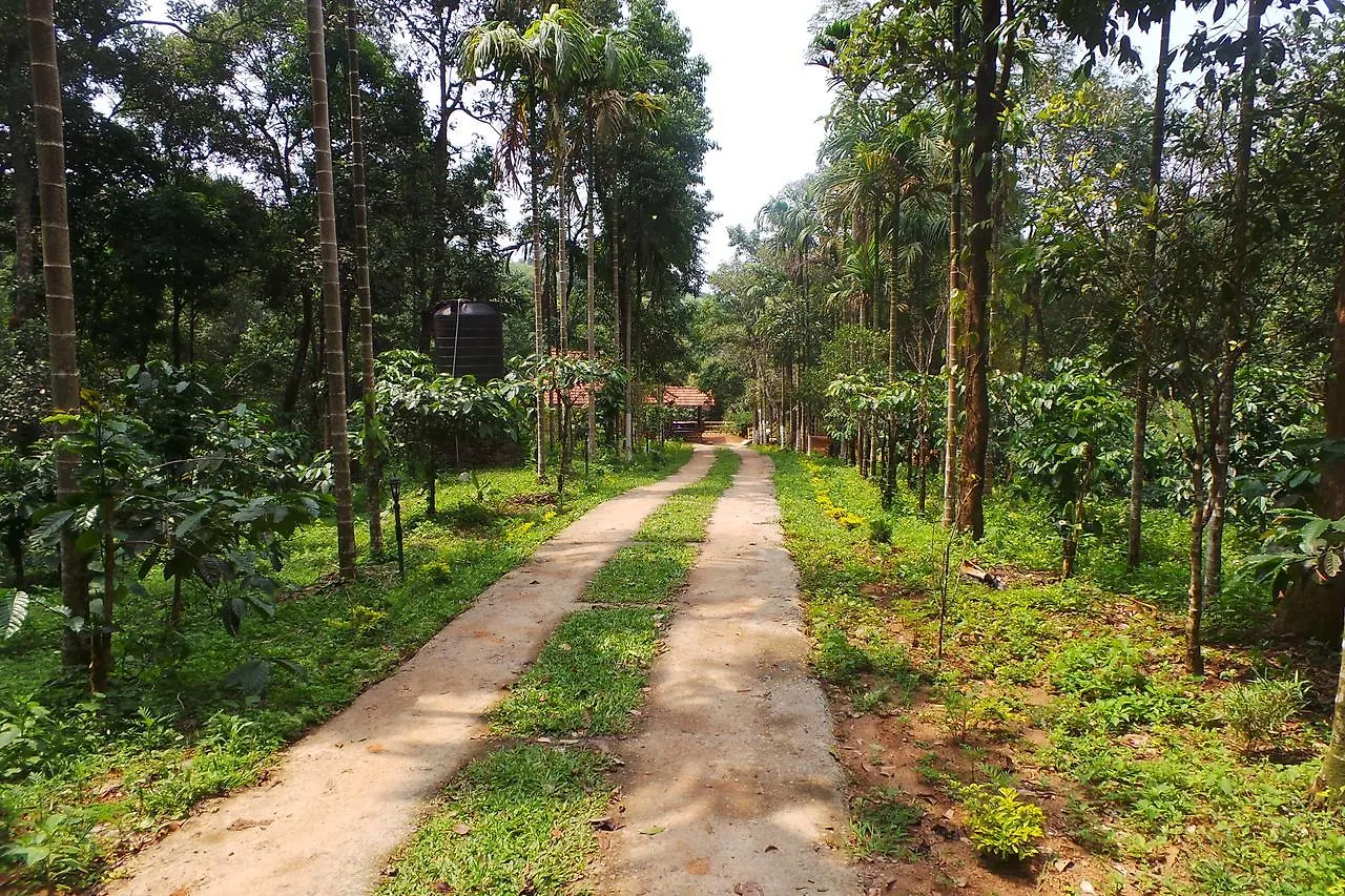 Orange Wood Resort Vythiri Hotel