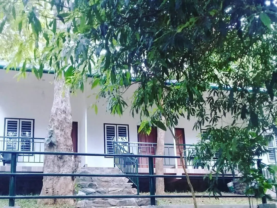 Orange Wood Resort Vythiri Hotel
